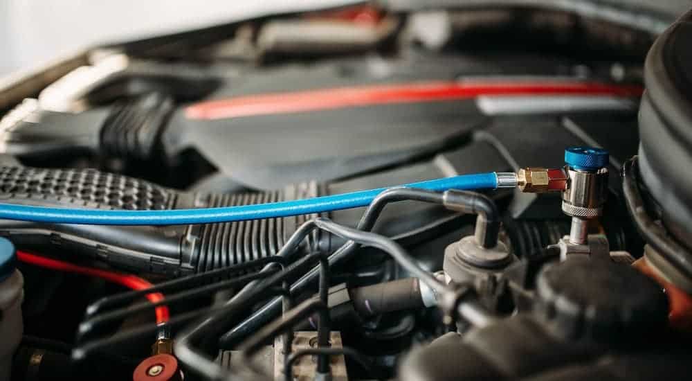 A blue hose is hooked up to a car's AC valve to perform an auto air conditioning repair.